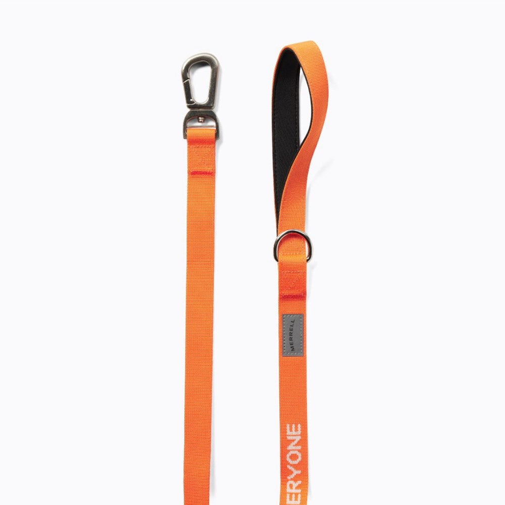 Dog Leash